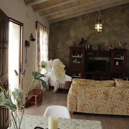 Vakantiehuis Mirlo Conil De La Frontera