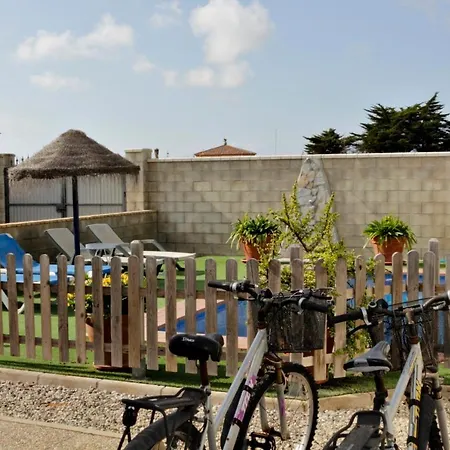 Mirlo Conil De La Frontera