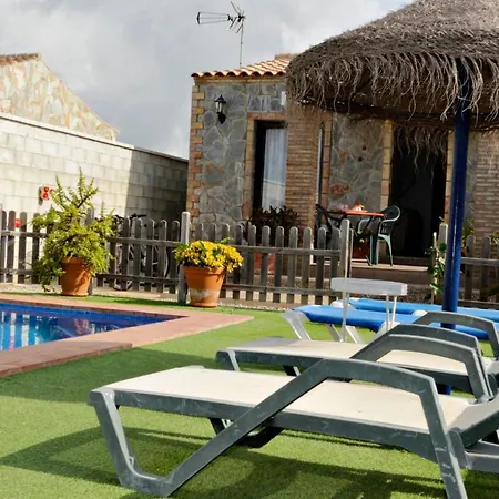 Mirlo Conil De La Frontera