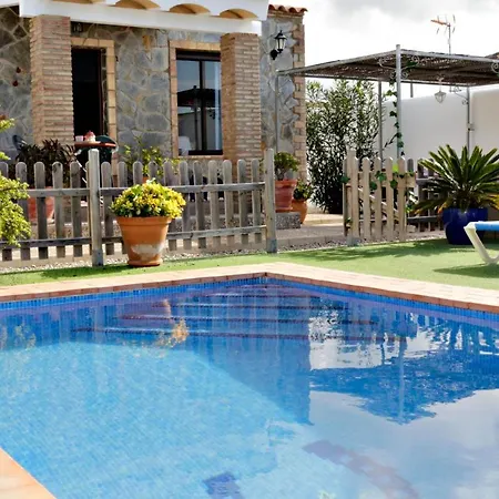 Mirlo Conil De La Frontera