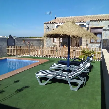 Mirlo Conil De La Frontera