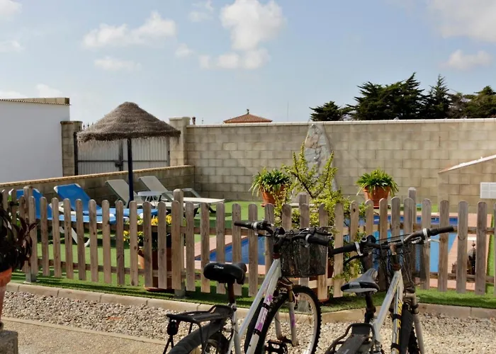 Mirlo Conil De La Frontera