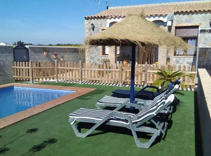 Mirlo Conil De La Frontera