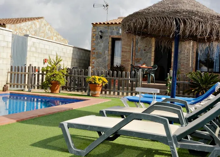 Mirlo Conil De La Frontera