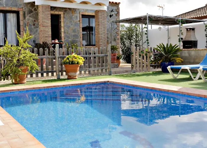 Mirlo Conil De La Frontera