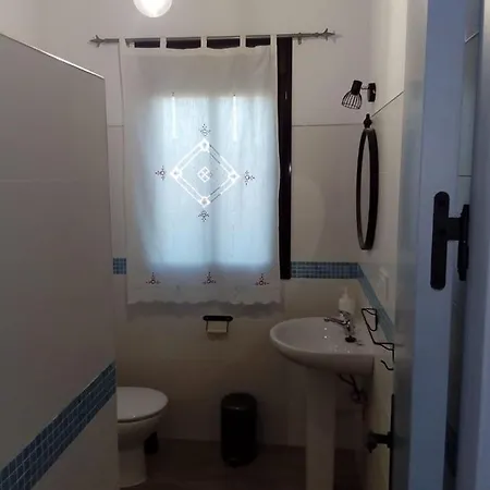 Mirlo * Conil De La Frontera