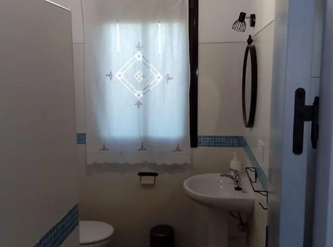 Mirlo * كونيل ذي لا فرونتيرا